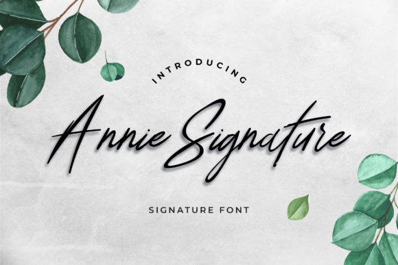 Annie Signature: A Trendy Script Font for Campaign Creatives