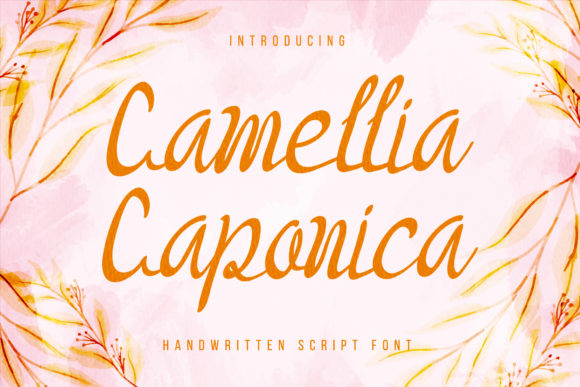 Camellia Caponica: A Sweet Script Font for Branding Projects