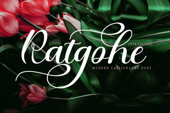Ratgohe: A Whimsical Script Font for Business Branding