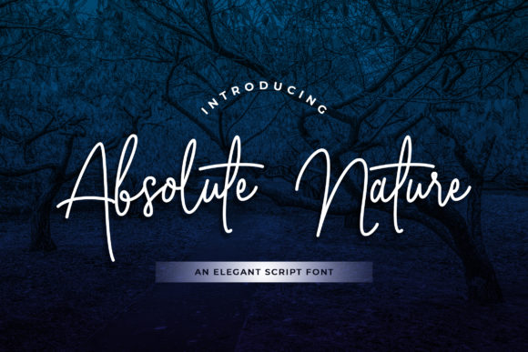 Testing Absolute Nature for a Modern Web Design Project