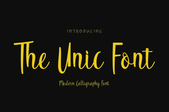 The Unic: A Simple Font That Transformed My Brand’s Visual Story